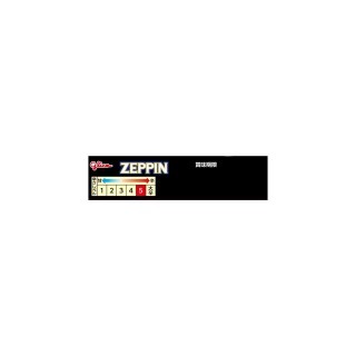 カレーZEPPIN 辛口 展開図